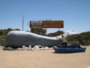 Nullarbor Trip 134