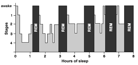 sleep graph